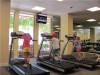 Фото: Фитнес, fitness, Adina fitness Academy, теннис, tennis Майами, США